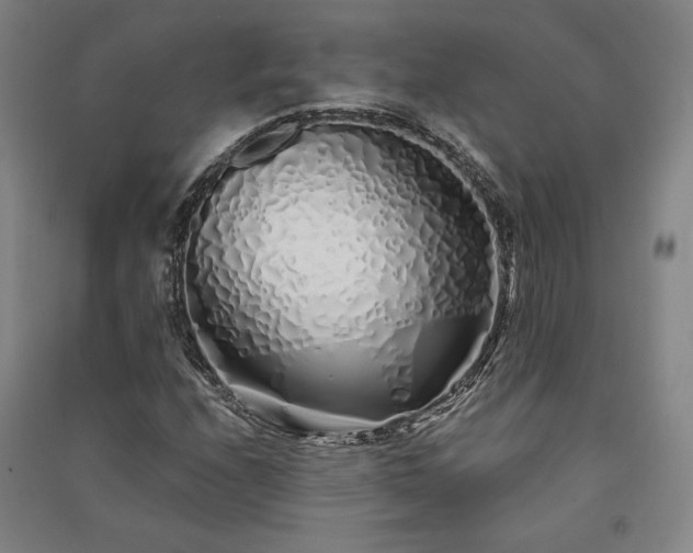 X0000091341208200708171404