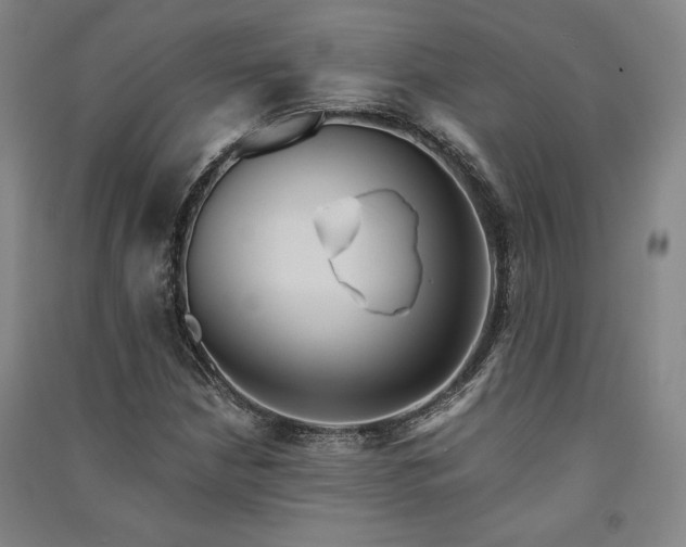 X0000091341210200708171404