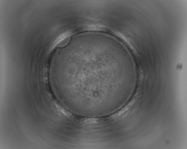 X0000091341211200708171404