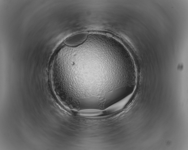 X0000091341212200708171404