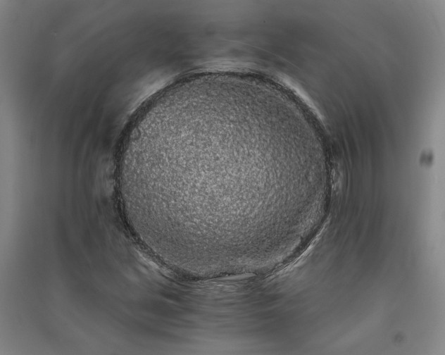 X0000091341213200708171404