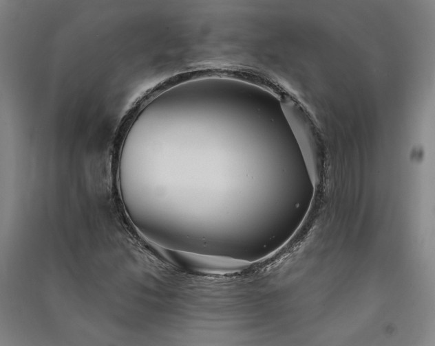 X0000091341214200708171404