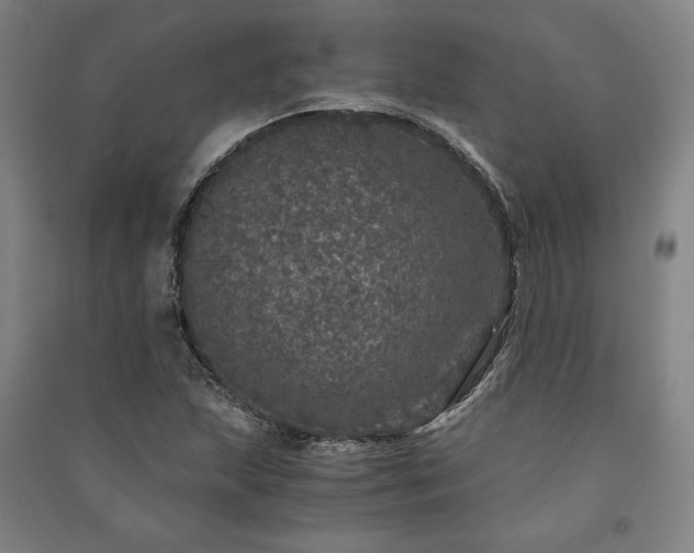 X0000091341215200708171404