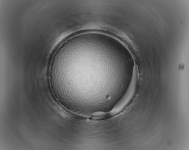 X0000091341216200708171404