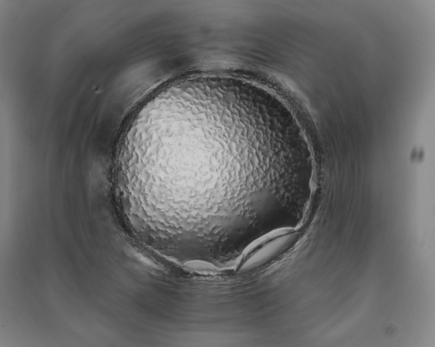 X0000091341217200708171404