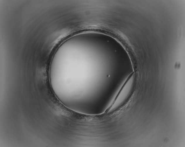 X0000091341218200708171404