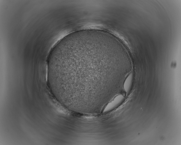 X0000091341219200708171404