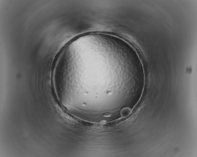 X0000091341220200708171404