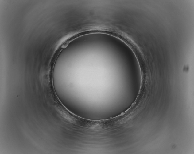 X0000091341222200708171404