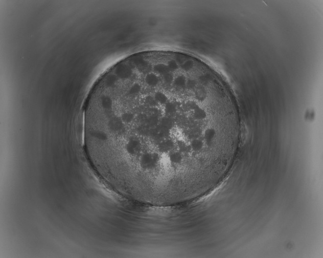 X0000091341223200708171404