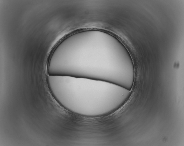 X0000091341224200708171404