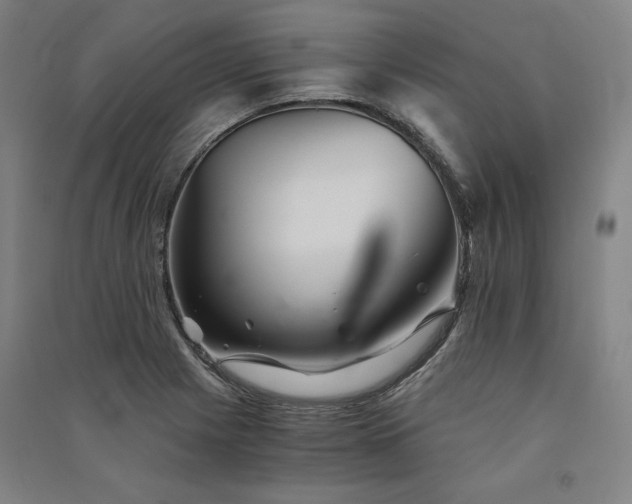 X0000091341225200708171404