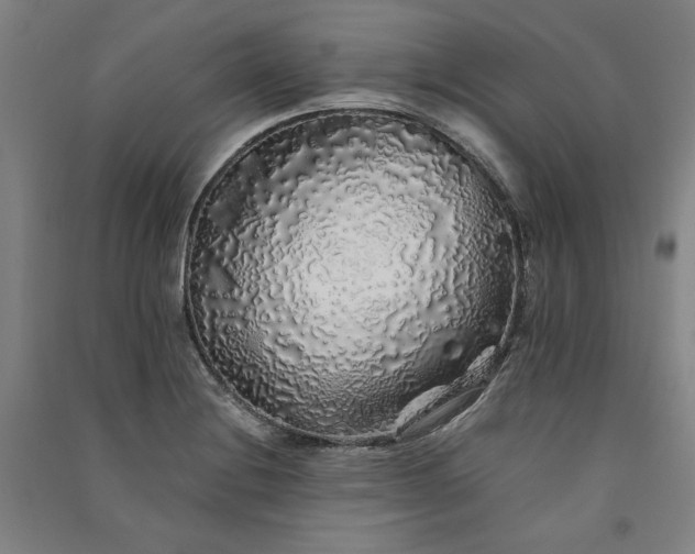 X0000091341228200708171404