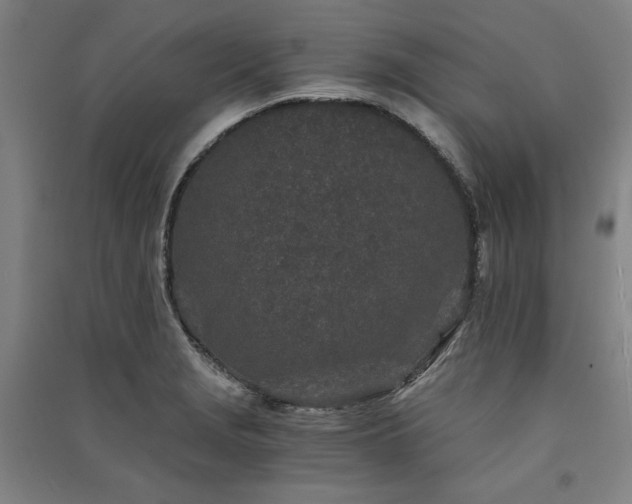 X0000091341229200708171404