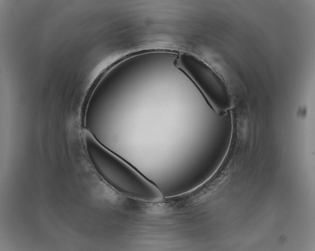 X0000091341230200708171404