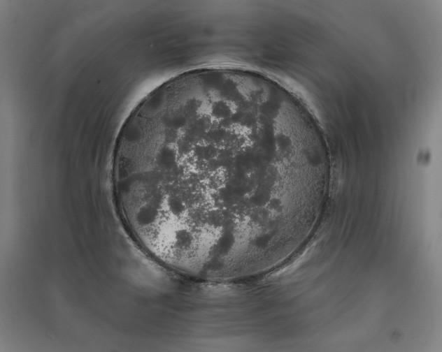 X0000091341231200708171404