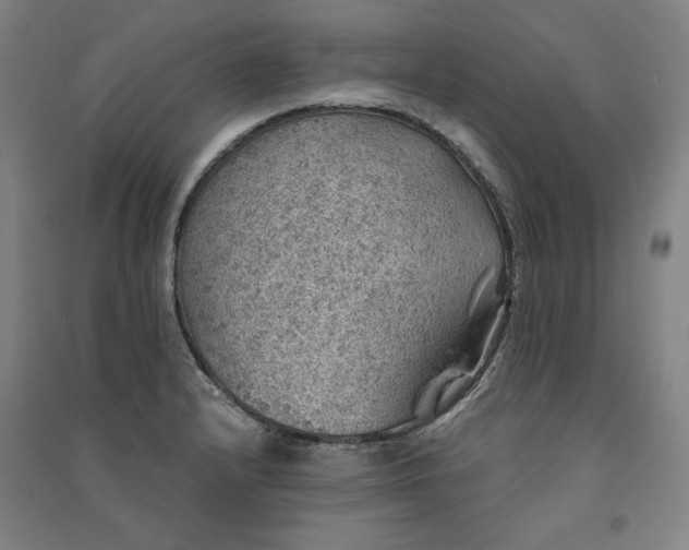 X0000091341232200708171404