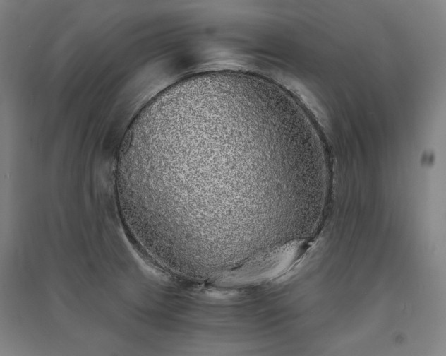 X0000091341233200708171404