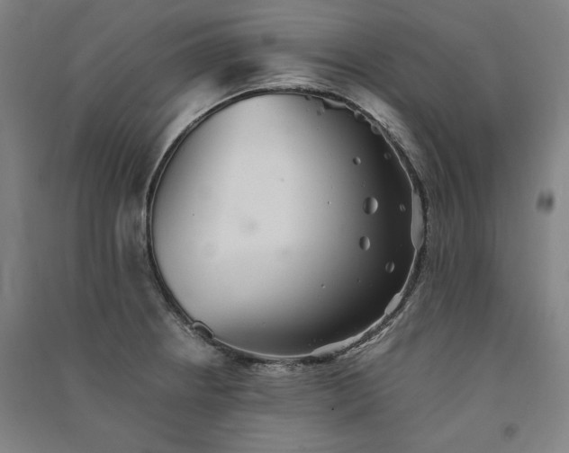 X0000091341234200708171404