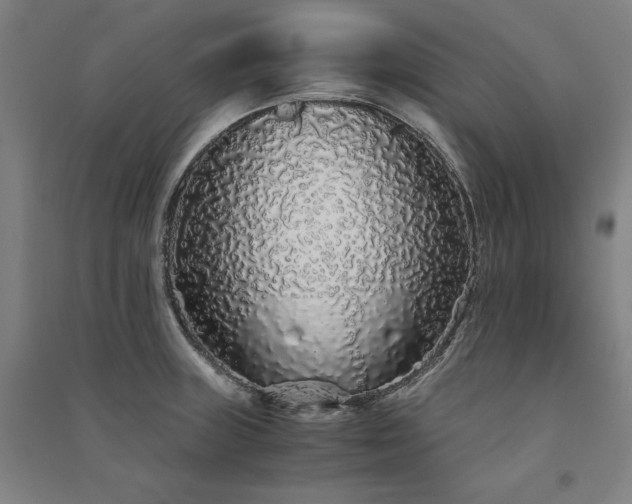 X0000091341235200708171404