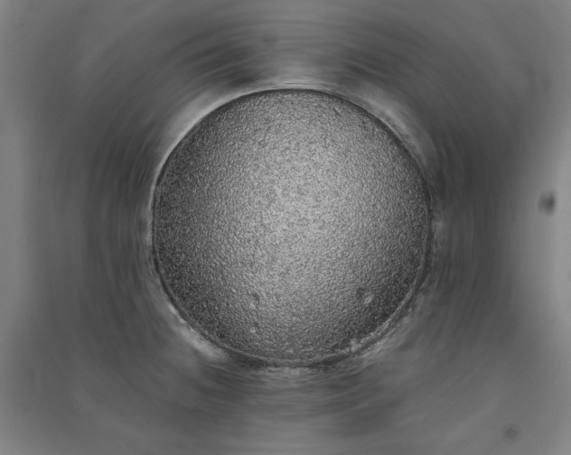 X0000091341236200708171404