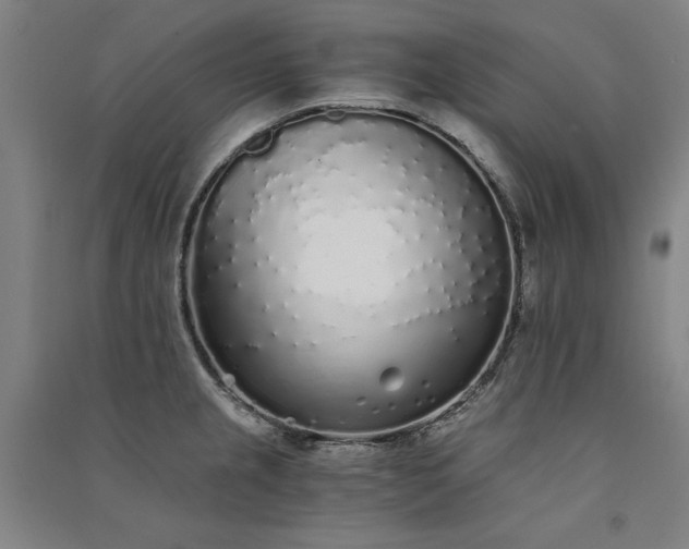 X0000091341237200708171404