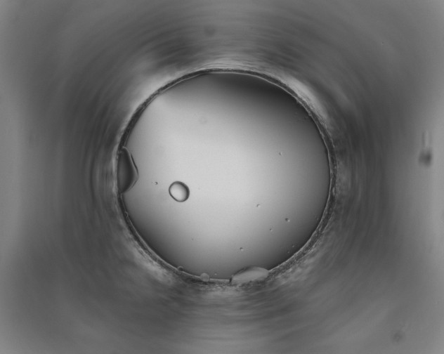 X0000091341238200708171404