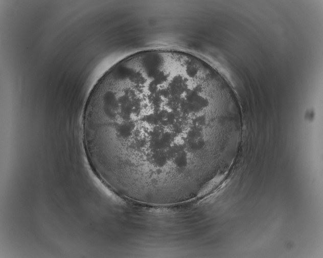 X0000091341239200708171404