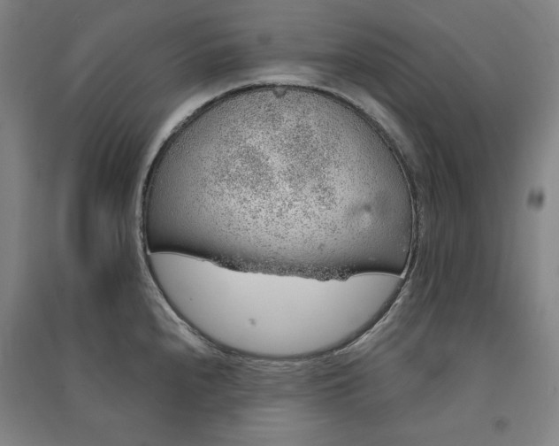 X0000091341240200708171404