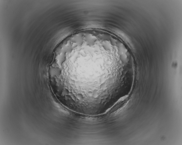 X0000091341241200708171404