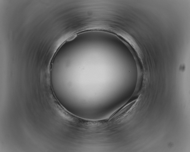 X0000091341242200708171404