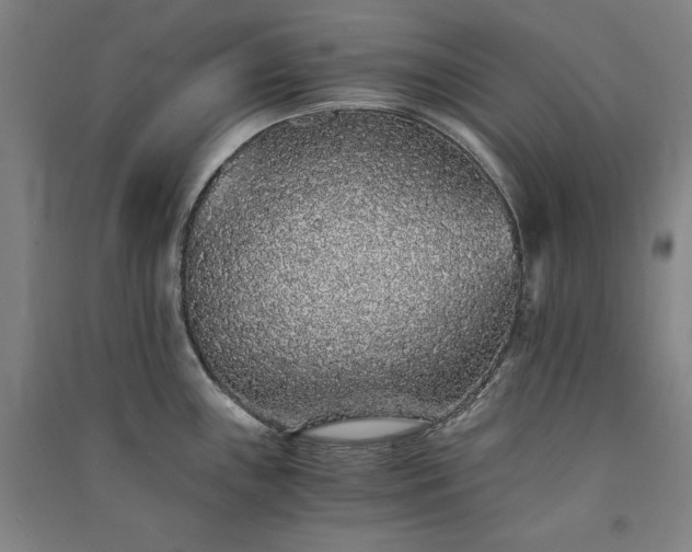 X0000091341243200708171404