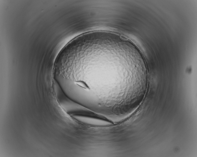 X0000091341244200708171404