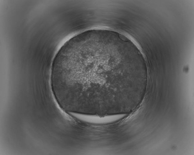 X0000091341245200708171404