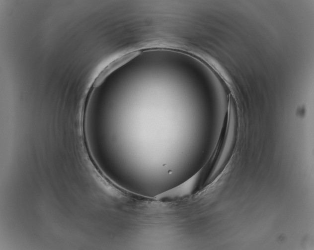 X0000091341246200708171404