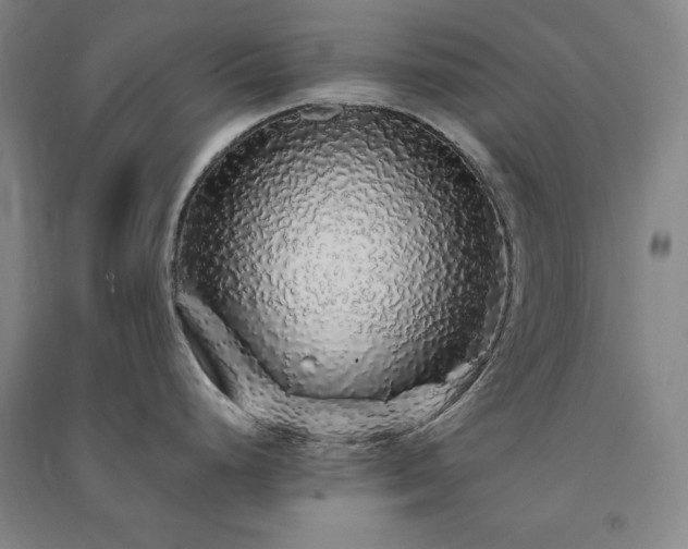 X0000091341248200708171404