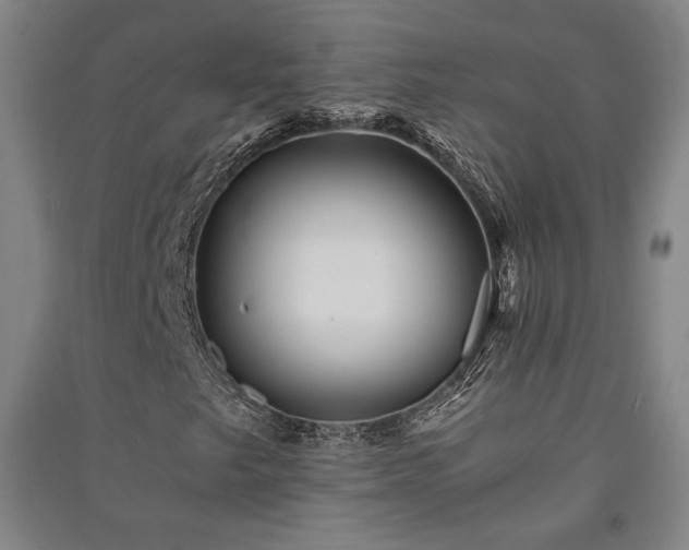 X0000091341249200708171404