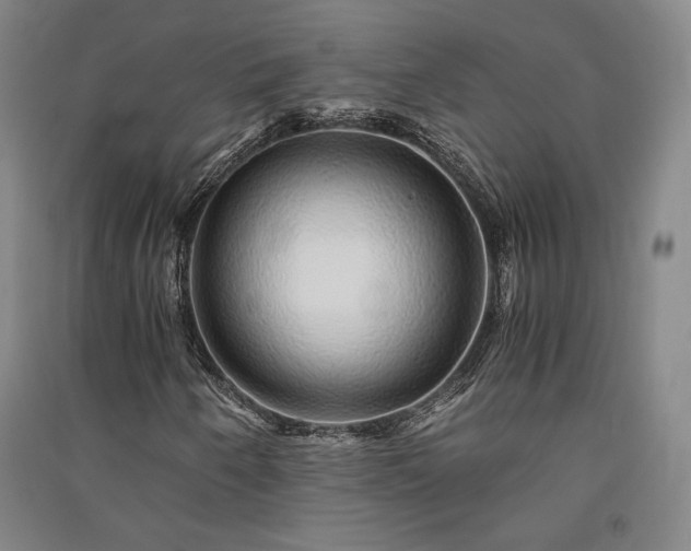 X0000091341250200708171404