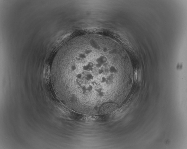 X0000091341251200708171404