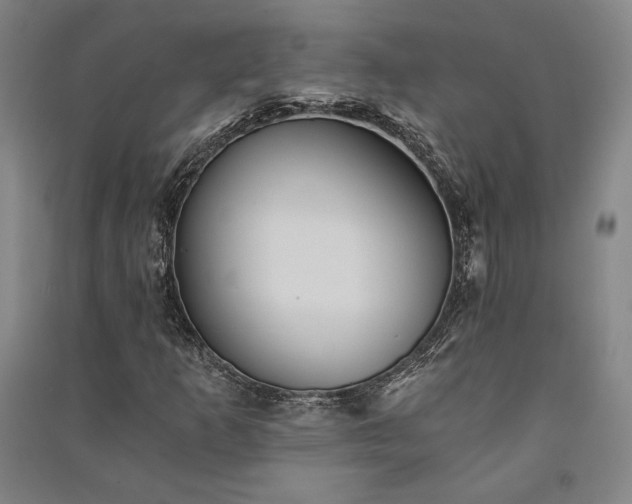 X0000091341253200708171404