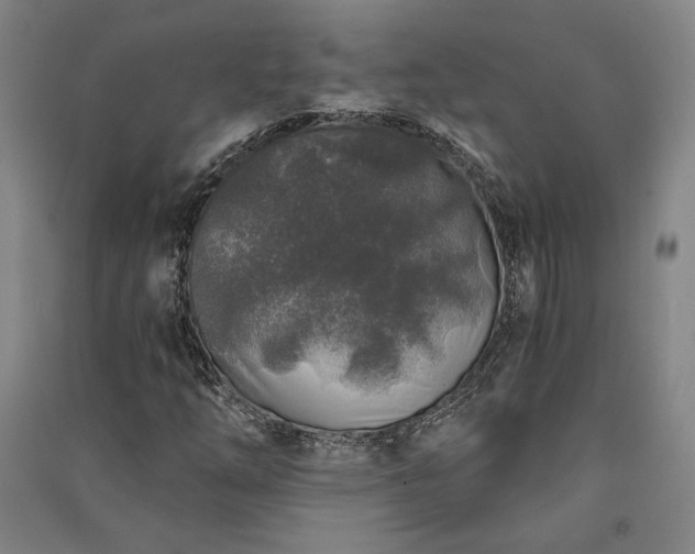 X0000091341254200708171404