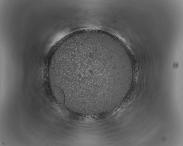 X0000091341255200708171404