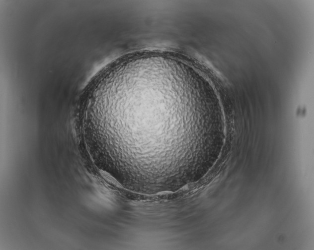 X0000091341256200708171404