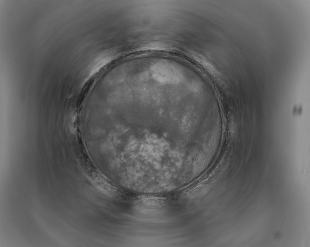 X0000091341258200708171404