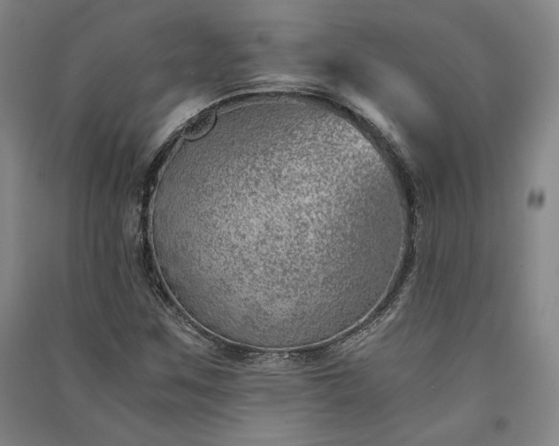 X0000091341259200708171404