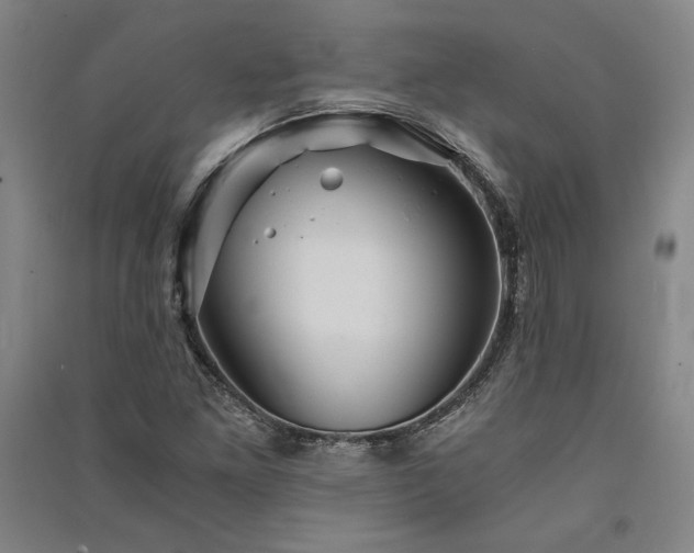 X0000091341261200708171404