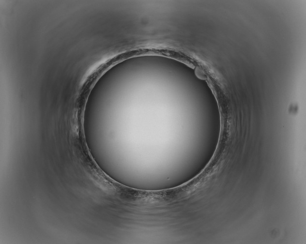 X0000091341262200708171404