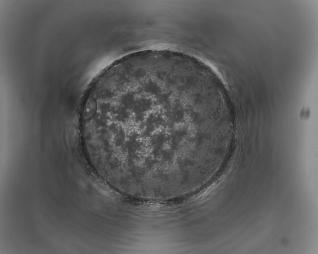 X0000091341263200708171404