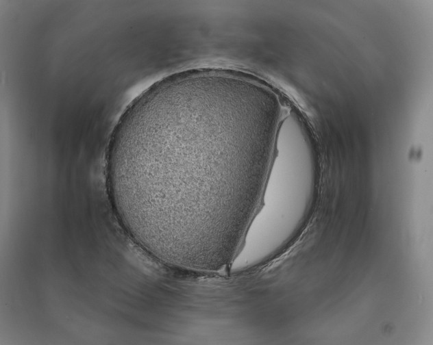 X0000091341264200708171404