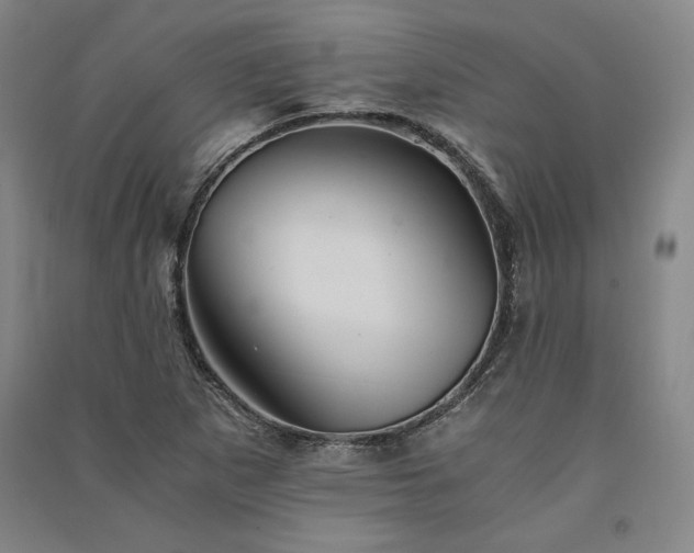 X0000091341265200708171404